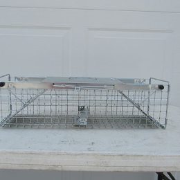 Live Animal Traps Featured Image